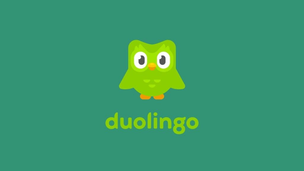 Making sense of the Duolingo: a popular application for learning the language